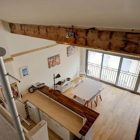 Top Floor Duplex Apt/rooftop Views/mins To Beach Antibes